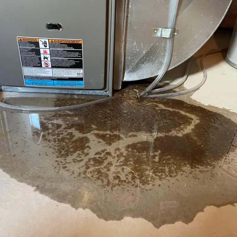 Appliance Leak Cleanup in Randolph County, NC